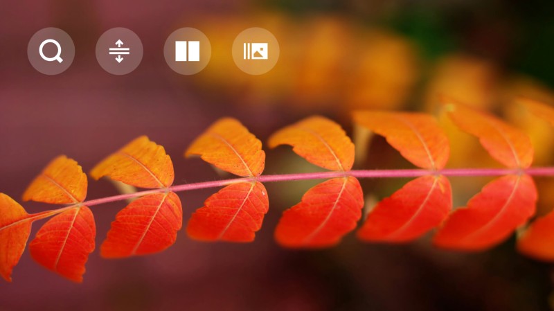 Jesenná aktualizácia 2025 v Zoner Studiu